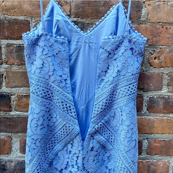 LOVER the Label Corded Lace Sheath Dress - Picture 9 of 16